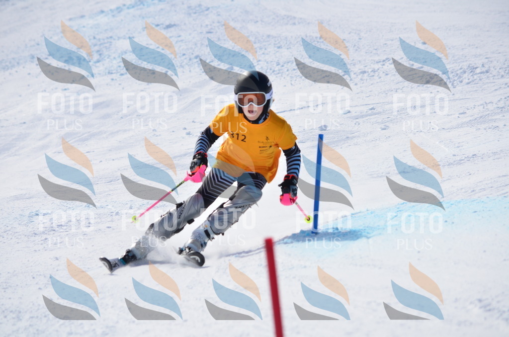 C9535 | holidayphoto