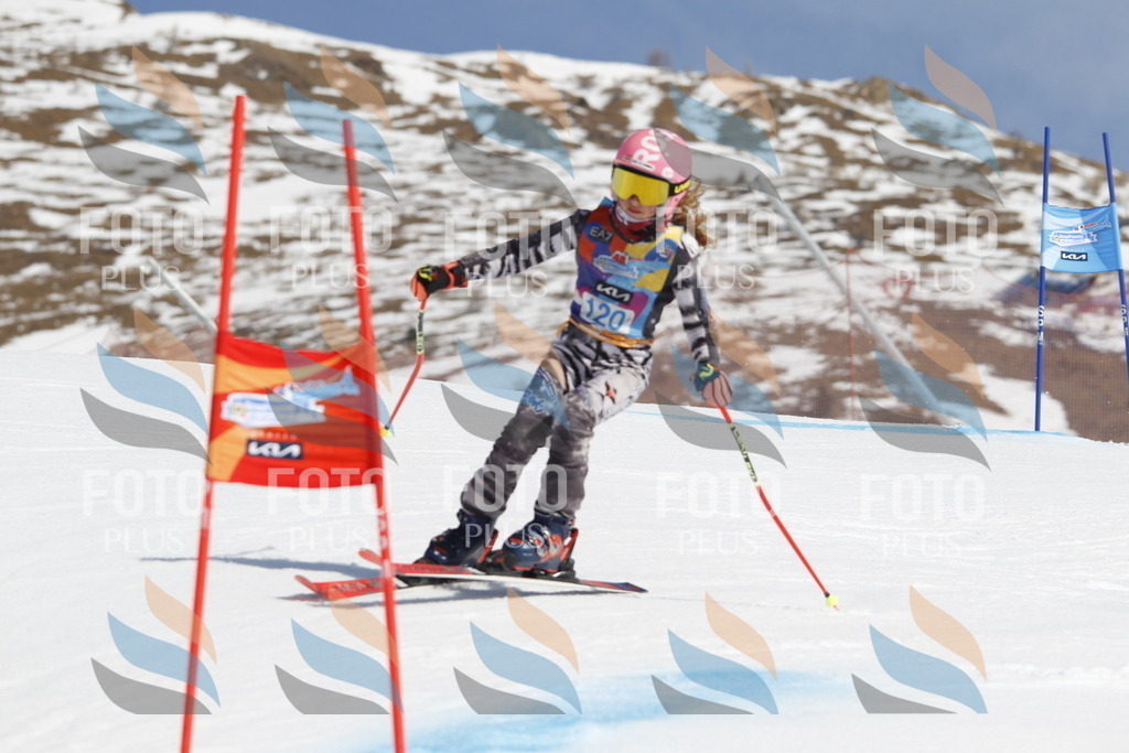 _U3G0694 | holidayphoto