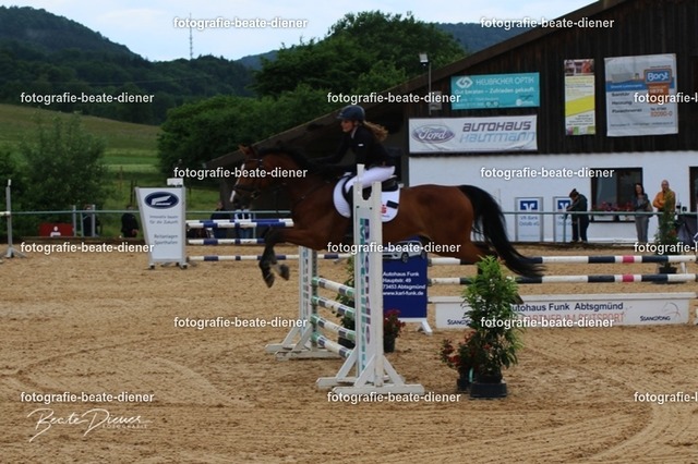 OHT1341 | Fotografie, Tiere, Hunde, Katzen, Pferde, Sportfotografie, Fotosession, Tierfotografie, Turnierfotografie, Fotografin, Fotograf - Realisiert mit Pictrs.com