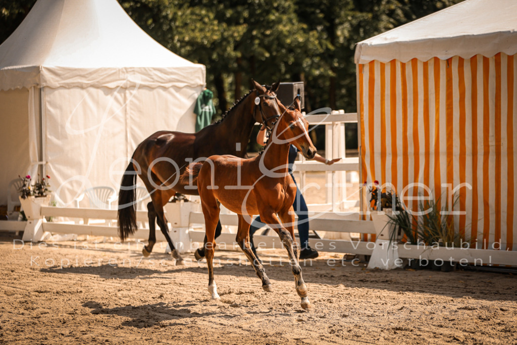 07.DoWBS00071 | Leoni Ertmer Photography - Realisiert mit Pictrs.com