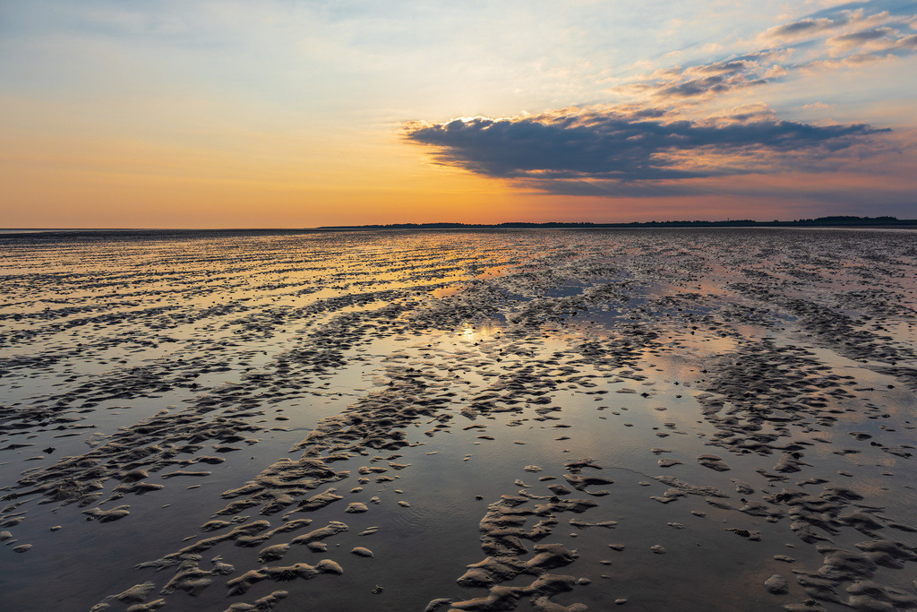 Sonnenaufgang im Wattenmeer auf der Insel Amrum | Sonnenaufgang im Wattenmeer auf der Insel Amrum.