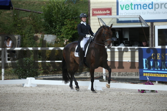Birkhof_2022_GrandPrixSpecial_Nicole Isser_DiCaprio 4 (9) | Alle Fotos der Reiterjournal Fotografin Doris Matthaes im Reiterjournal Online-Fotoshop. - Realisiert mit Pictrs.com