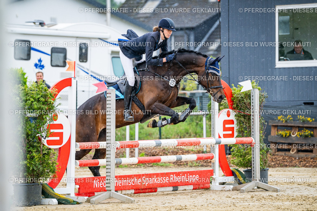 DSC02510 | Pferdegrafie