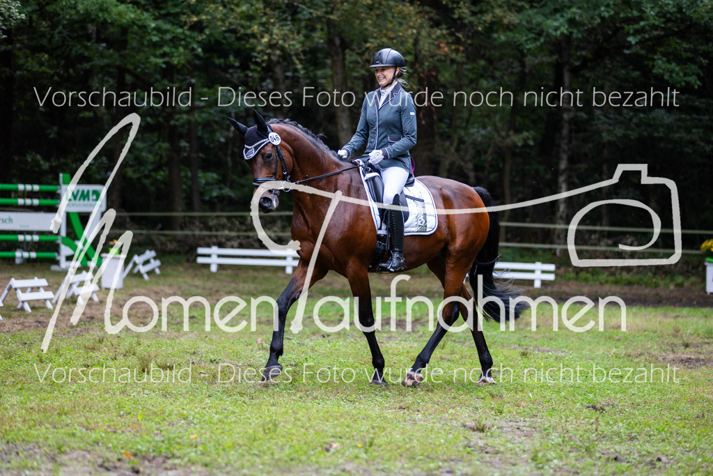 HB-A-Dressur-087 | MomenTaufnahmen Pferdesportfotos