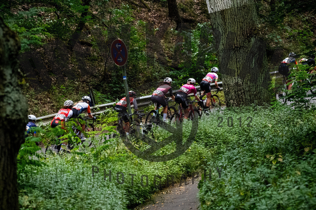 _DKP8029 | Drew Kaplan Photography