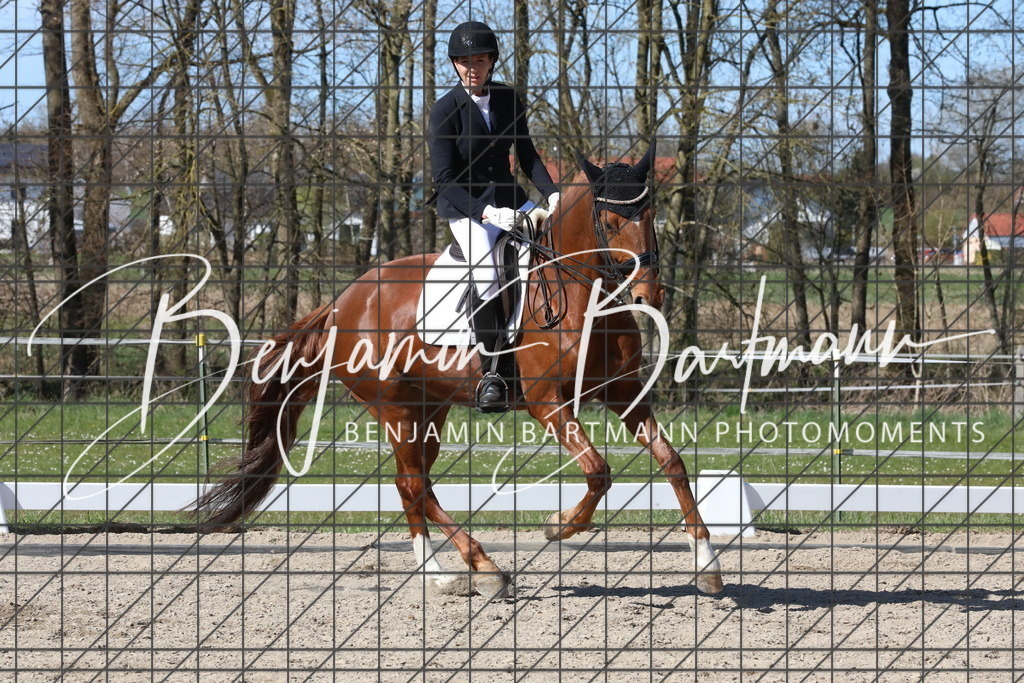 AZ2A4908 | Benjamin Bartmann Photomoments