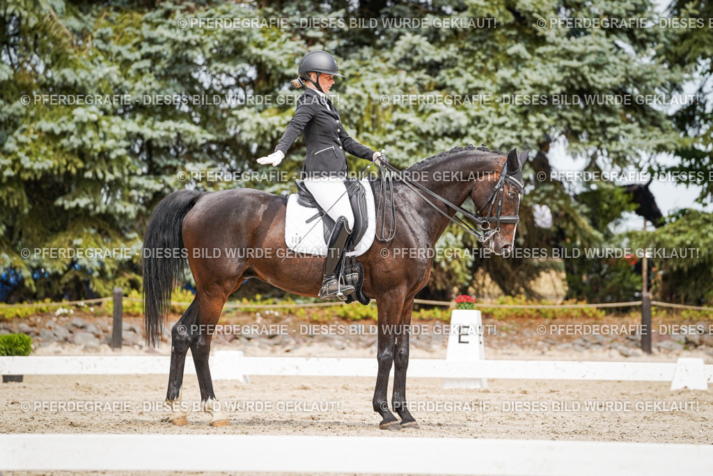 DSC05672 | Pferdegrafie