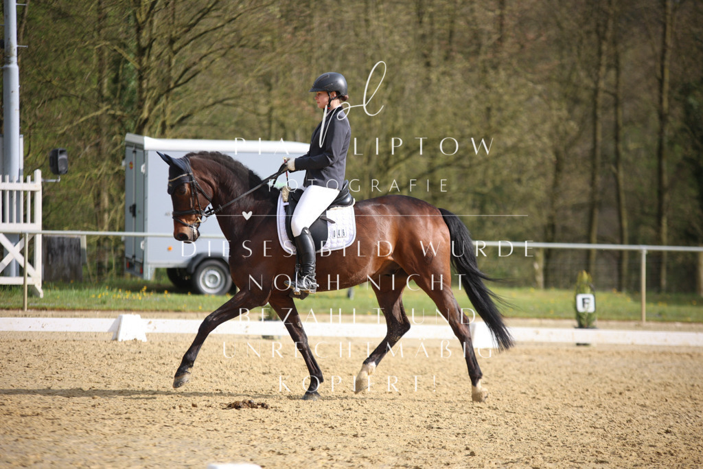 IMGT7167 | pl-fotografie