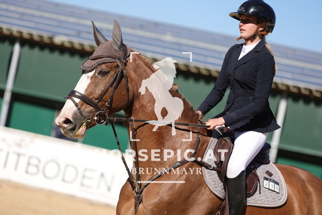 0P6A0330 | Willkommen bei Brunnmayr - Design & Fotografie – Ihrem Spezialisten für Reitturniere und Pferdeveranstaltungen in Oberösterreich, Salzburg und Bayern! Seit über 17 Jahren sind wir leidenschaftlich dabei.