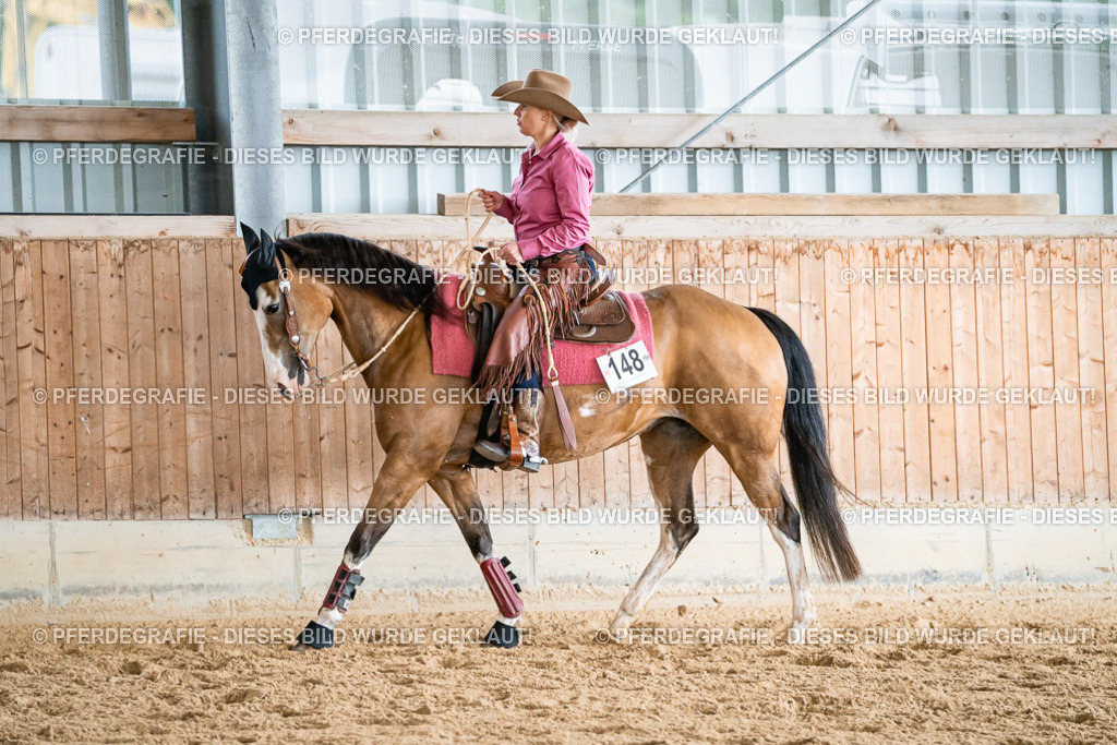 DSC00151 | Pferdegrafie