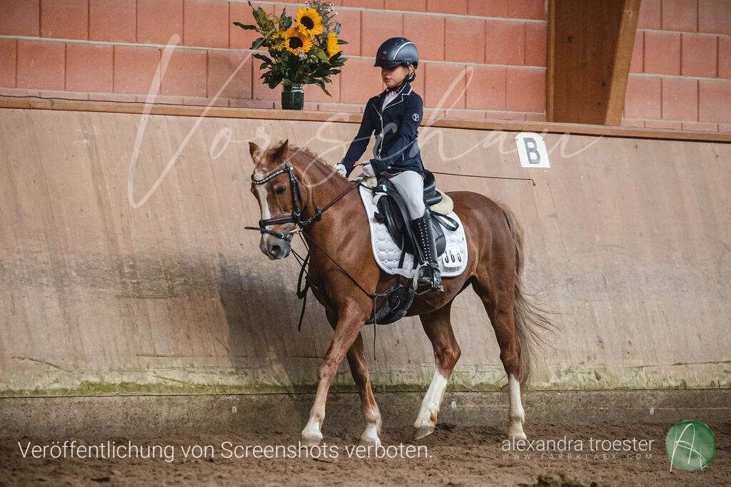 _MG_0755 | farbklaex.com