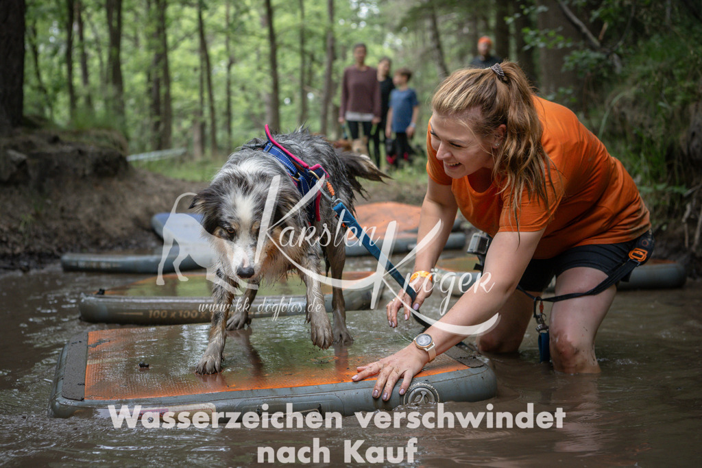 1219_ZZ98453 | kk-dogfotos