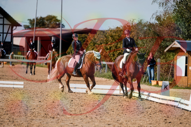 2026_10_03_Siefer-Hof_130504_Z63_68399039 | Professionelle Reitsport-, Turnier- und Eventfotografie von Robert Broda. Galerien mit ausgewählten und bearbeiteten Bildern direkt online ansehen und bestellen.