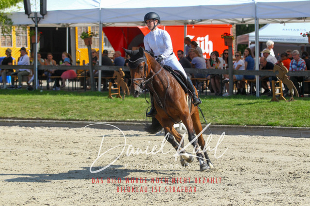Gut Blee25_Zwei Phasen Springprfg S_0107 | Turniersportfotografie; Pferdefotografie; Dressurfotografie