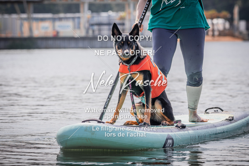 BUHU_SUP_564 | nelerasche