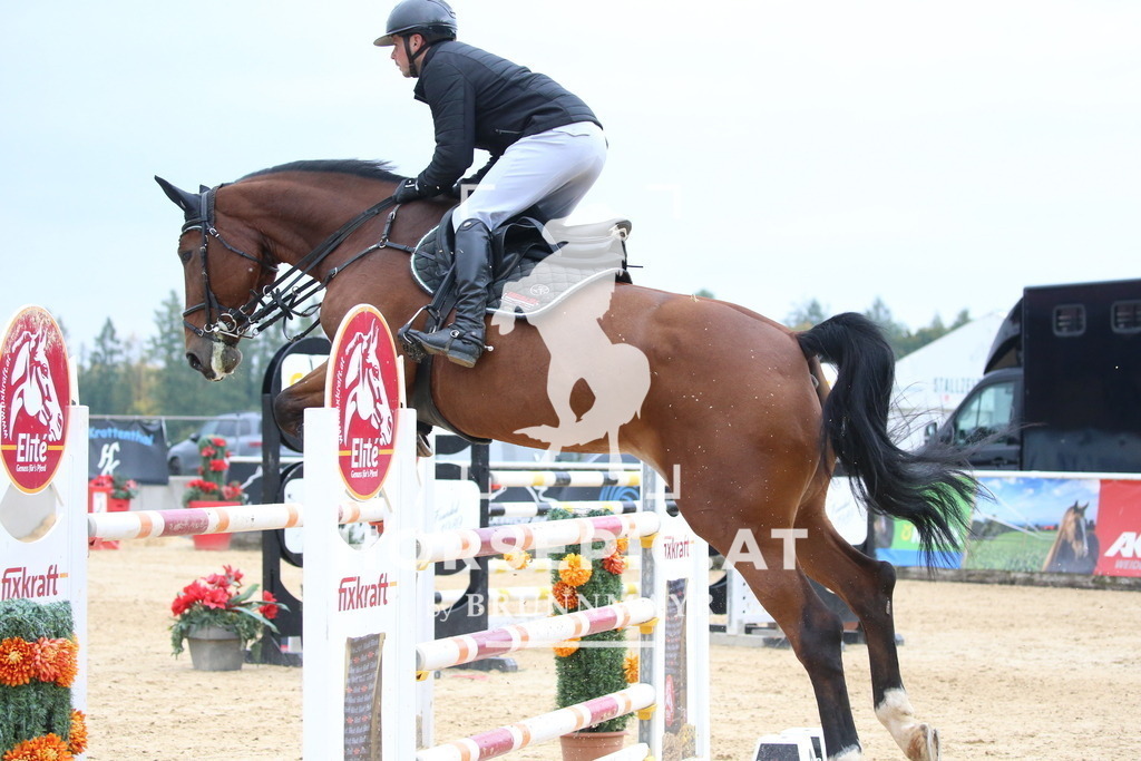 DL2Q3622 | Willkommen bei Brunnmayr - Design & Fotografie – Ihrem Spezialisten für Reitturniere und Pferdeveranstaltungen in Oberösterreich, Salzburg und Bayern! Seit über 17 Jahren sind wir leidenschaftlich dabei.