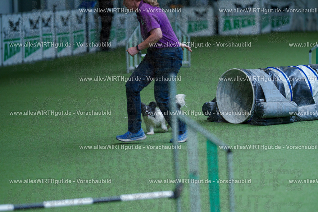 @allesWIRTHgut_Tierfotografie - www.allesWIRTHgut.de - 2604261326-7R501840 | Professionelle Tierfotografie in Mönchengladbach von Daniel Wirth (allesWIRTHgut). Liebevolle & natürliche Bilder von Hunden & Katzen für unvergessliche Erinnerungen.