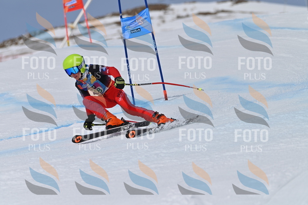 BGV_6108 | holidayphoto