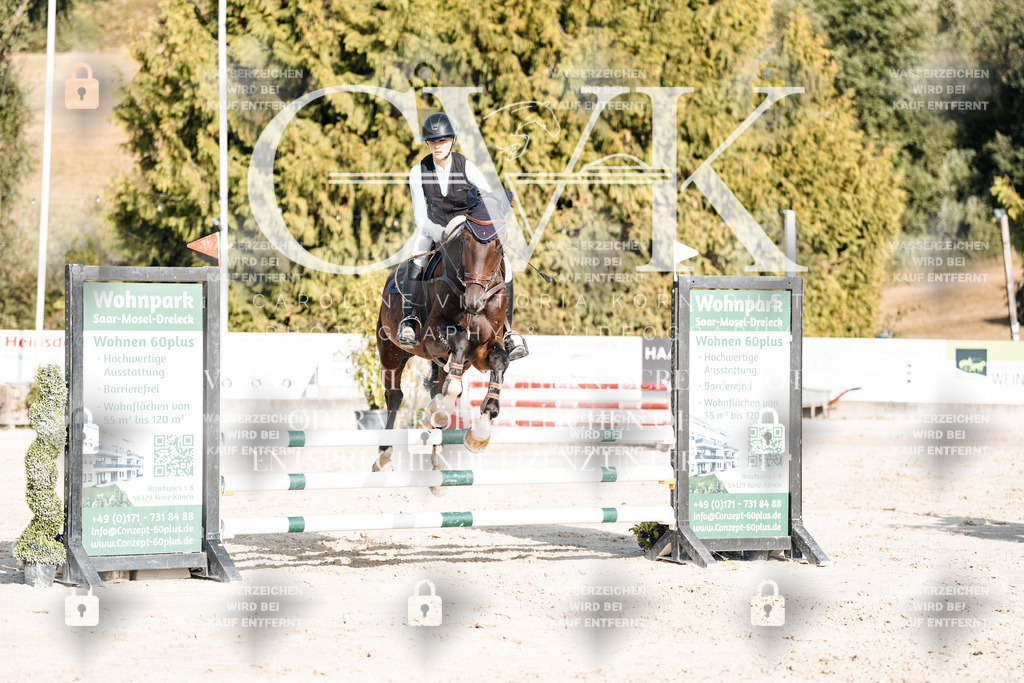 CK909550 | Turnierfotografie Pferdefotografie Trier Rheinland-Pfalz Pferdesport Reitsport Tierfotografie Sportfotografie Pferdevideo Pferdevideografie Equestrianvideography equestrianphotography  - Realisiert mit Pictrs.com