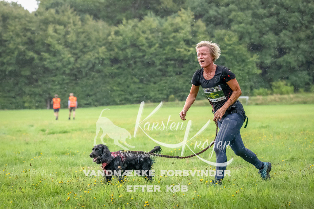 0931_ZZ91138-Bearbeitet | kk-dogfotos
