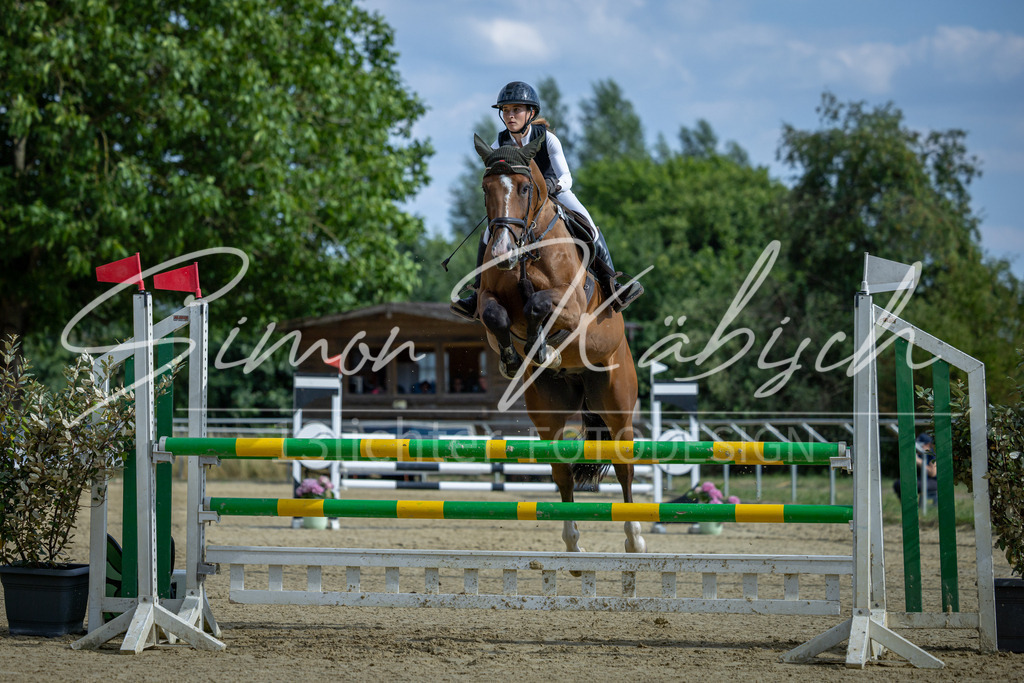 20260704-_3LI2050 | Tierfotografie Pferde, Hunde, Katzen, Haustiere.
Turnierfotografie Reitturniere, Reiten, Springreiten, Dressur in Hanau, dem Main-Kinzig-Kreis und dem Rhein-Main- Gebiet um Frankfurt