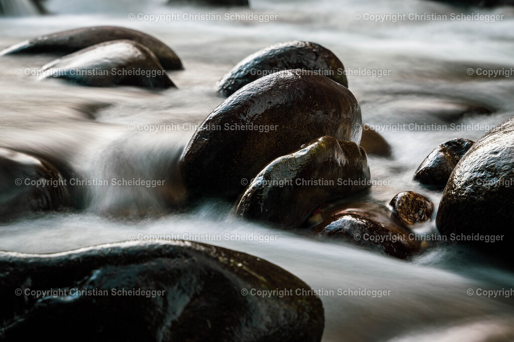 _DSC2103 | Schöne Fotoprints und andere Fotobilderprodukte, frei konfigurierbar - Realisiert mit Pictrs.com