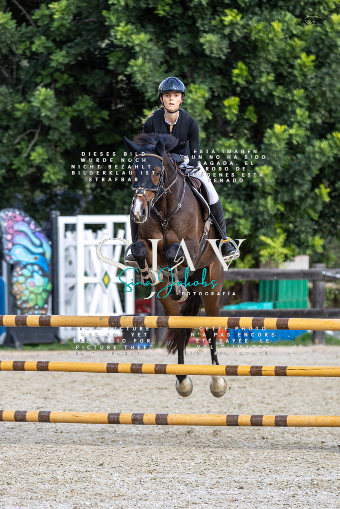 IMG_3614 | s-jay-photography - Realisiert mit Pictrs.com