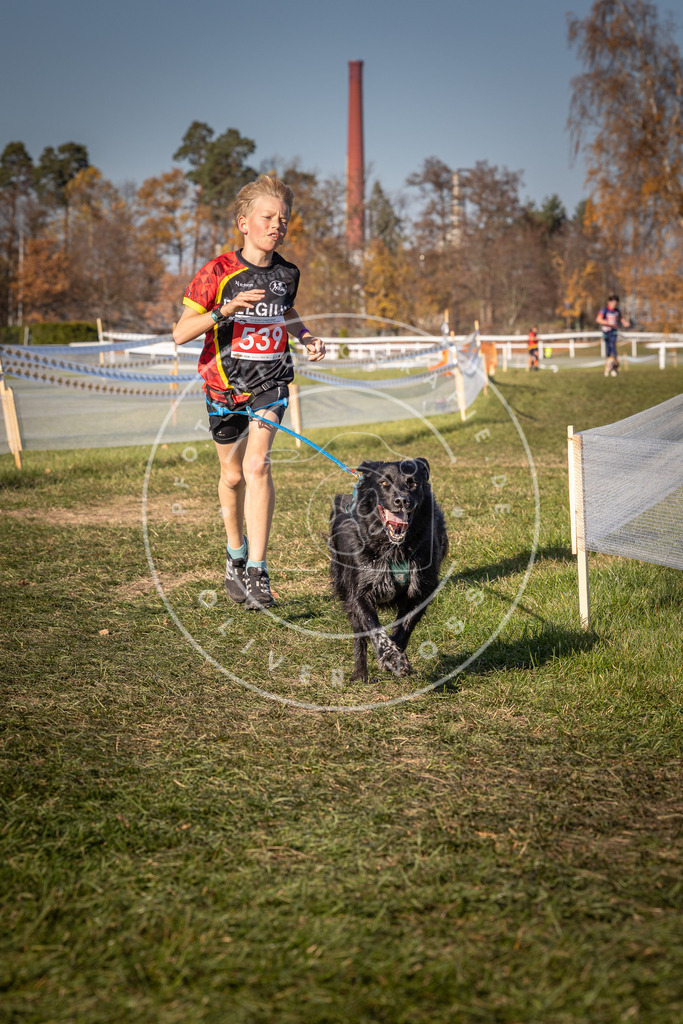 CaniXpix_0L8A7502 | Hundefotografie, Tierfotograf, Pfotenfotografie, Fotoshooting Hund, Hunde Portrait, Hundesport, Hundeportraits, Heideshooting, Hunde, Sportfotograf, Hundefotograf, Turnierhundsport, THS,  - Realisiert mit Pictrs.com
