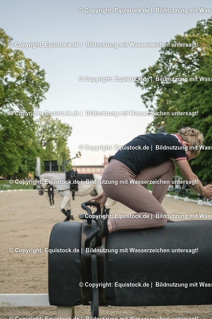 ZFC_4150 | equistock