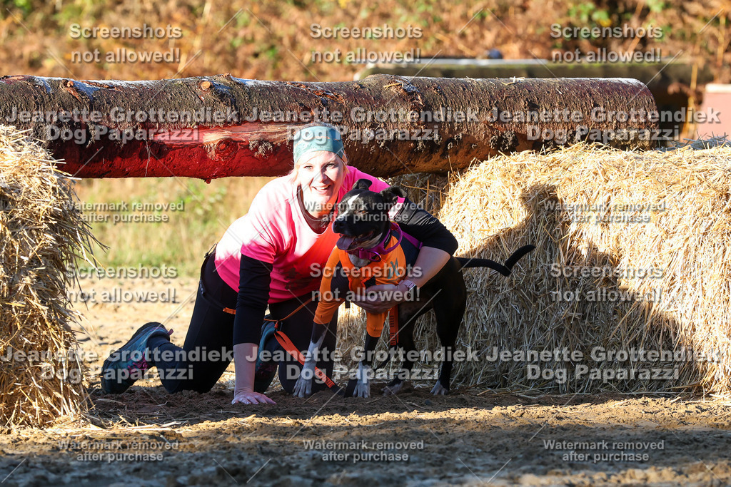 Dog Paparazzi - Strongdog 10-25-856 | Dog Paparazzi Jeanette Grottendiek Fotografie & Videografie - Realisiert mit Pictrs.com