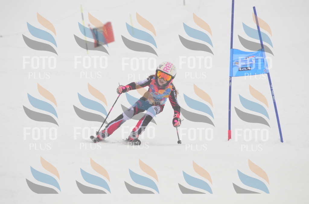 C1105 | holidayphoto