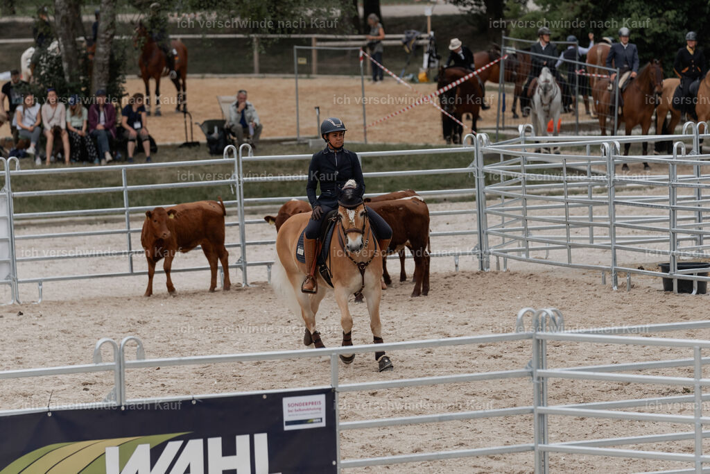 WE__Stoib_Rinder_PI2025_3080 | Pferd International München 2025