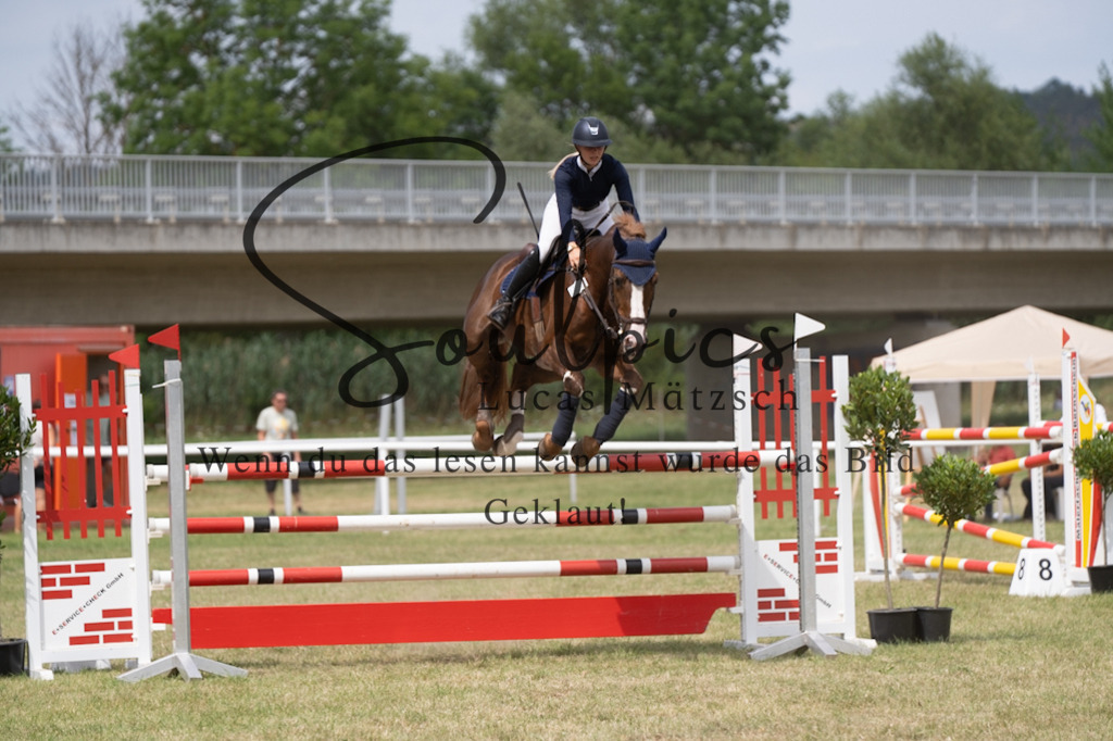 A7V02277 | Pferdefotograf