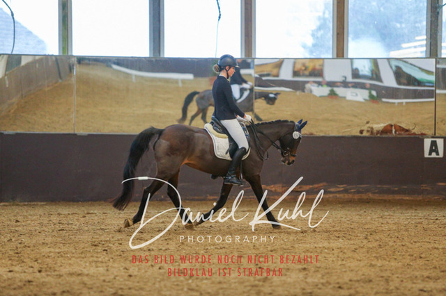 IMG_8058 | Turniersportfotografie; Pferdefotografie; Dressurfotografie