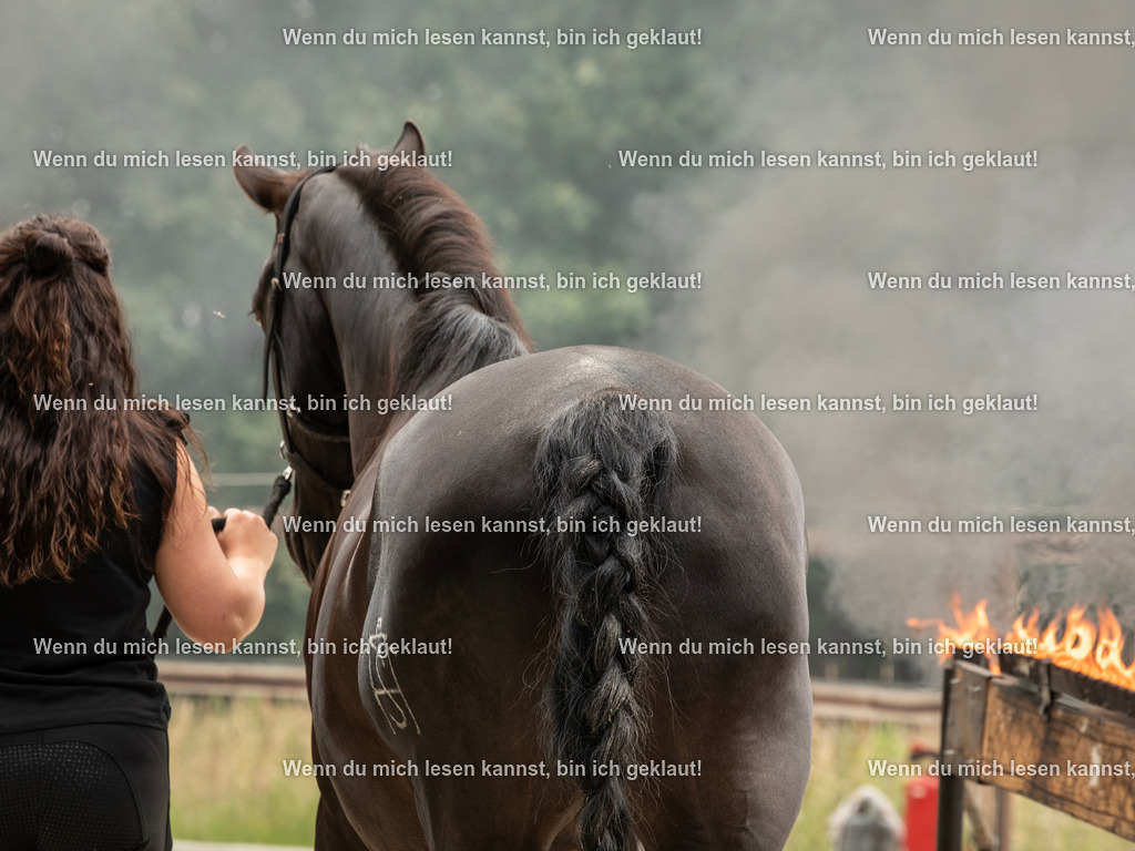 598A6992 | photographylinaismer - Realisiert mit Pictrs.com