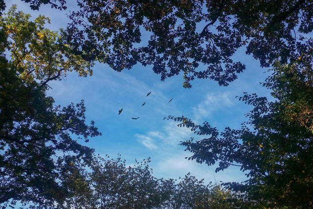 Leichtigkeit | Outdoorpixl Teßen OHG - Realisiert mit Pictrs.com