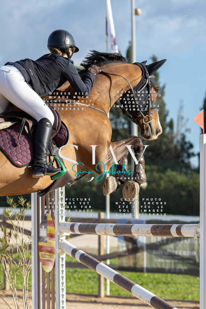 IMG_1678 | s-jay-photography - Realisiert mit Pictrs.com