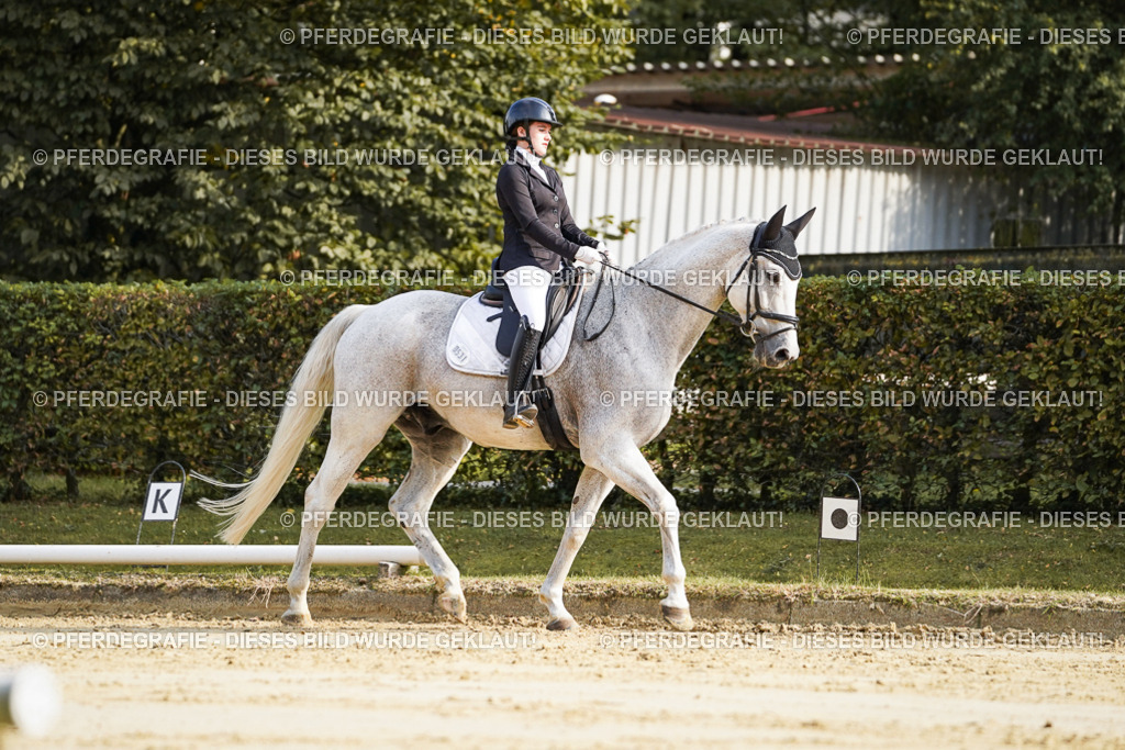 DSC05695 | Pferdegrafie