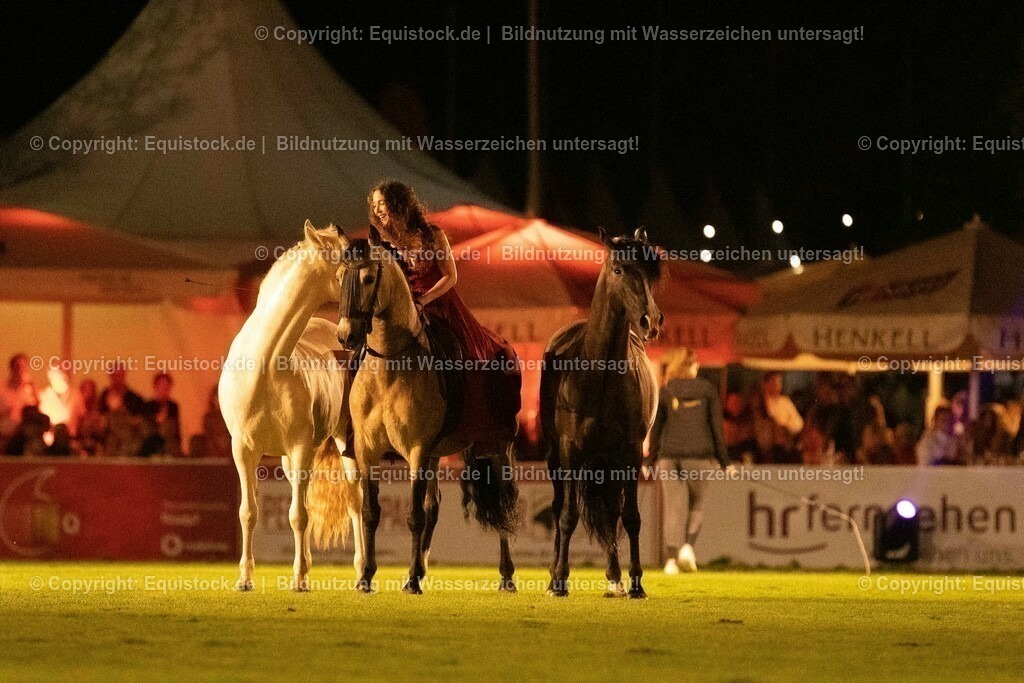 20230526_Pferdenacht_1506 | equistock
