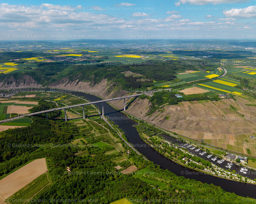 3117126 | Weinberge an den Hängen an der Mosel bei Winningen
