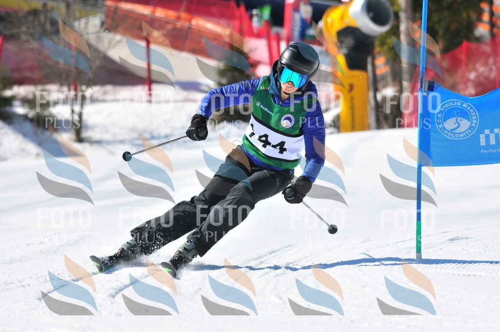 C3979 | holidayphoto