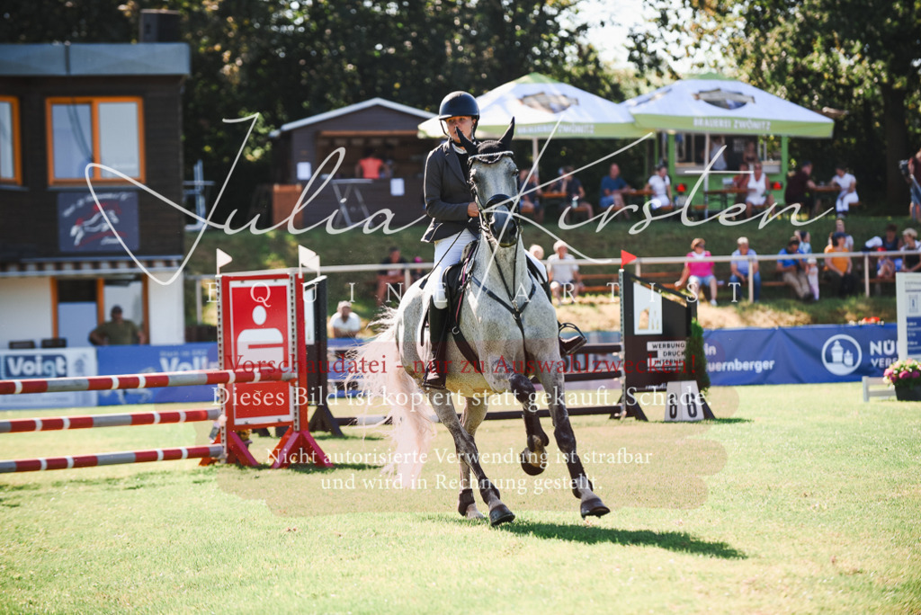 DSC_2539 | Pferde- und Turnierfotografie in Westsachsen. Pferdeportraits, Auftragszeichnungen und intuitive Kunst.