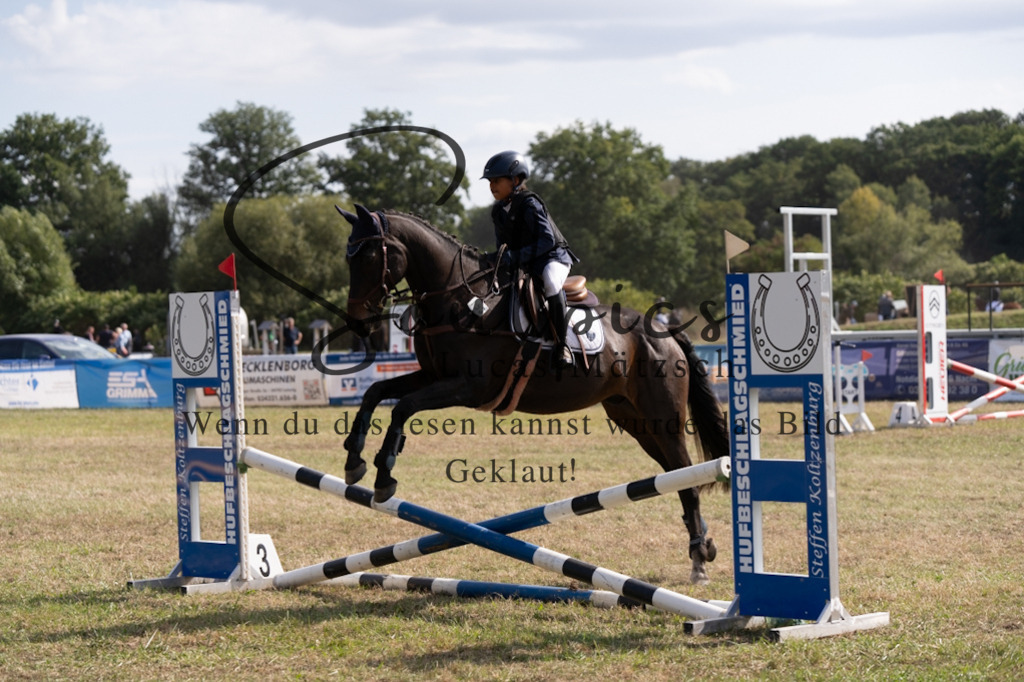 A7V08561 | Pferdefotograf