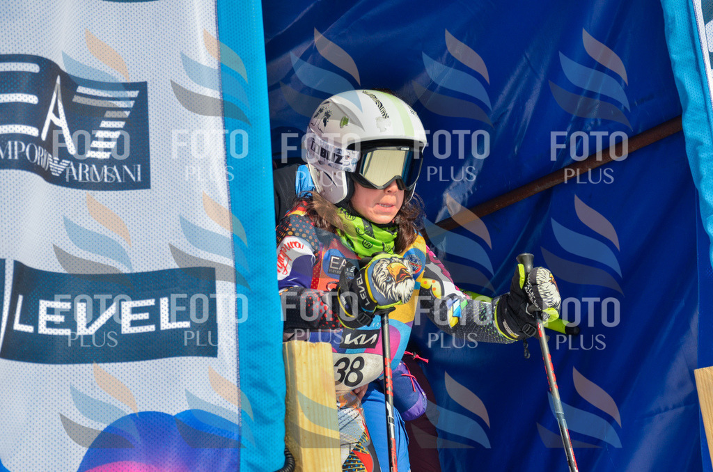 _ELE4982 | holidayphoto