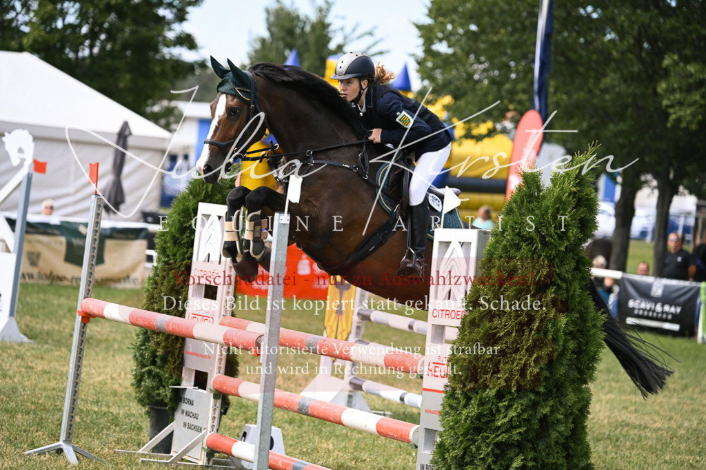 DSC_0605 | Pferde- und Turnierfotografie in Westsachsen. Pferdeportraits, Auftragszeichnungen und intuitive Kunst.