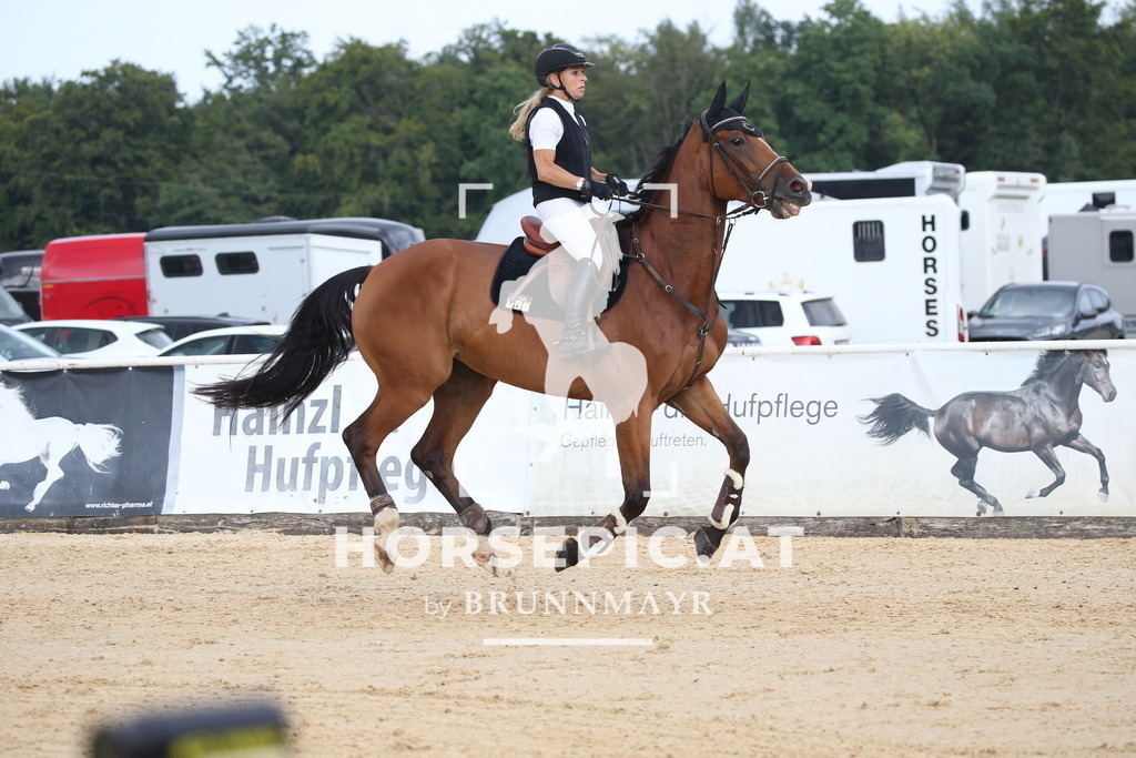 DL2Q5044 | Willkommen bei Brunnmayr - Design & Fotografie – Ihrem Spezialisten für Reitturniere und Pferdeveranstaltungen in Oberösterreich, Salzburg und Bayern! Seit über 17 Jahren sind wir leidenschaftlich dabei.
