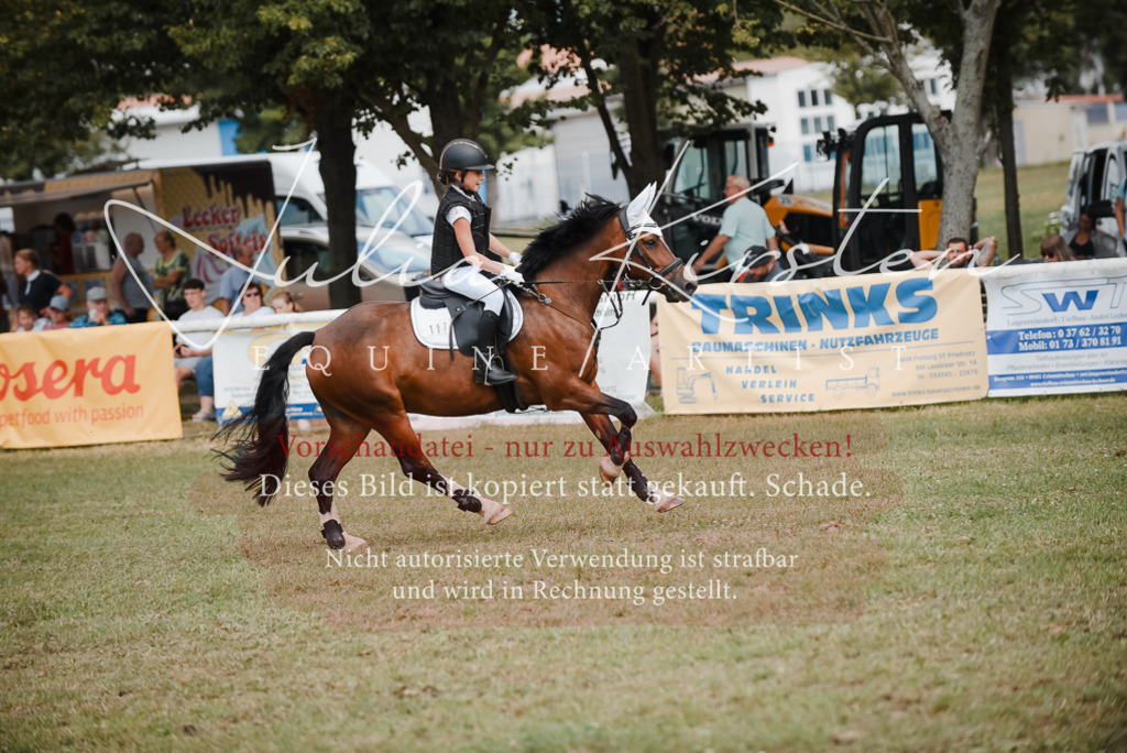 DSC_5493 | Pferde- und Turnierfotografie in Westsachsen. Pferdeportraits, Auftragszeichnungen und intuitive Kunst.