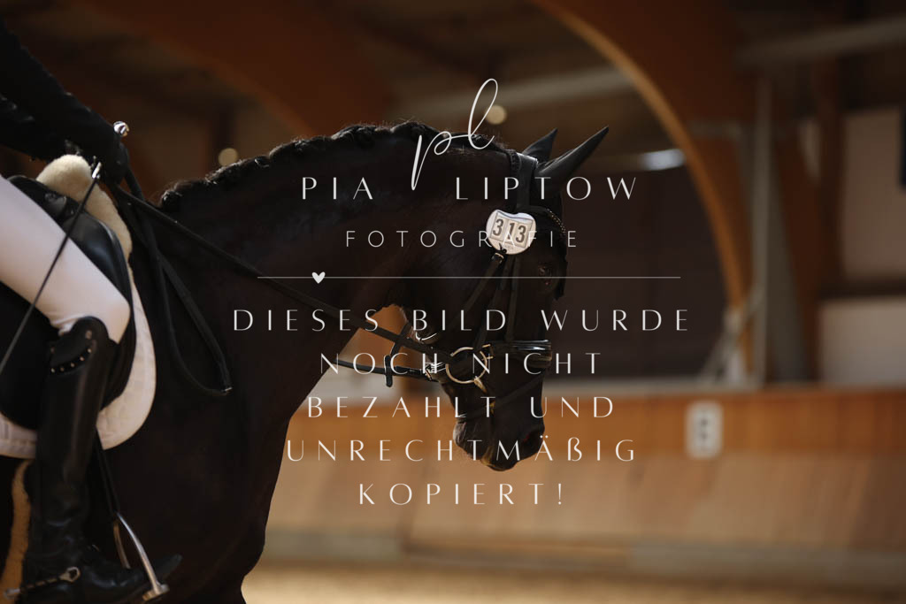 IMGS2679 | pl-fotografie