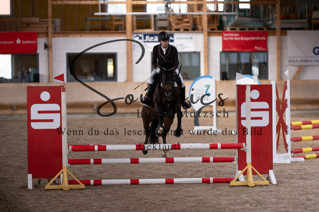 A7507456 | Pferdefotograf