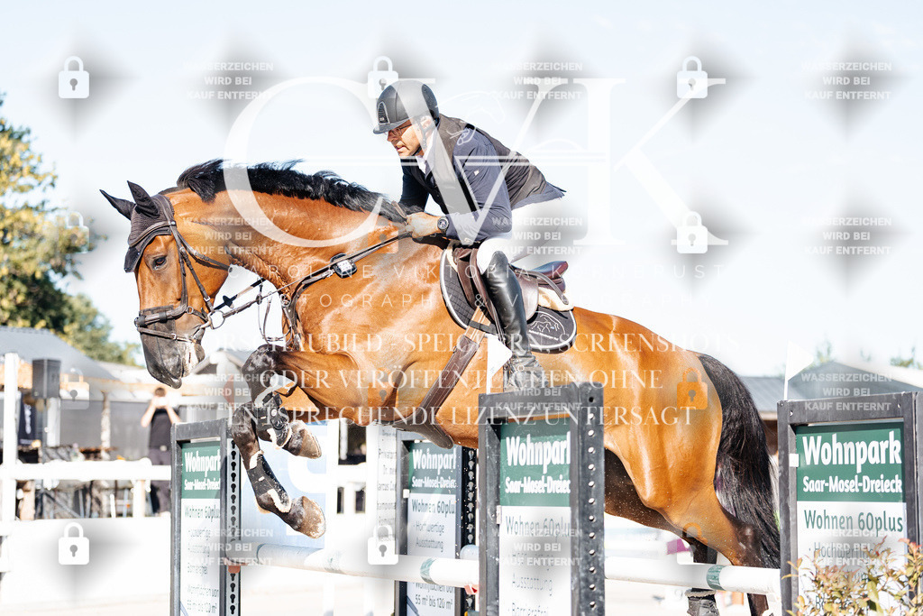 CK904191 | Turnierfotografie Pferdefotografie Trier Rheinland-Pfalz Pferdesport Reitsport Tierfotografie Sportfotografie Pferdevideo Pferdevideografie Equestrianvideography equestrianphotography  - Realisiert mit Pictrs.com